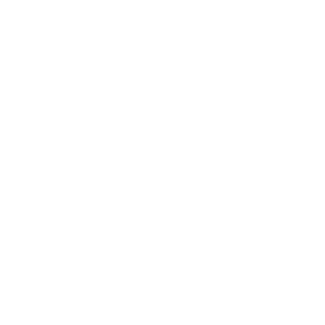 Vrthi logo